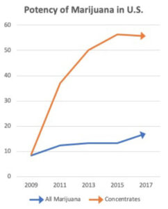 Potency of Marijuana in the US